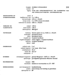 Tekst bij werktekening
<br/>
Dienst Publieke Werken, onbekend